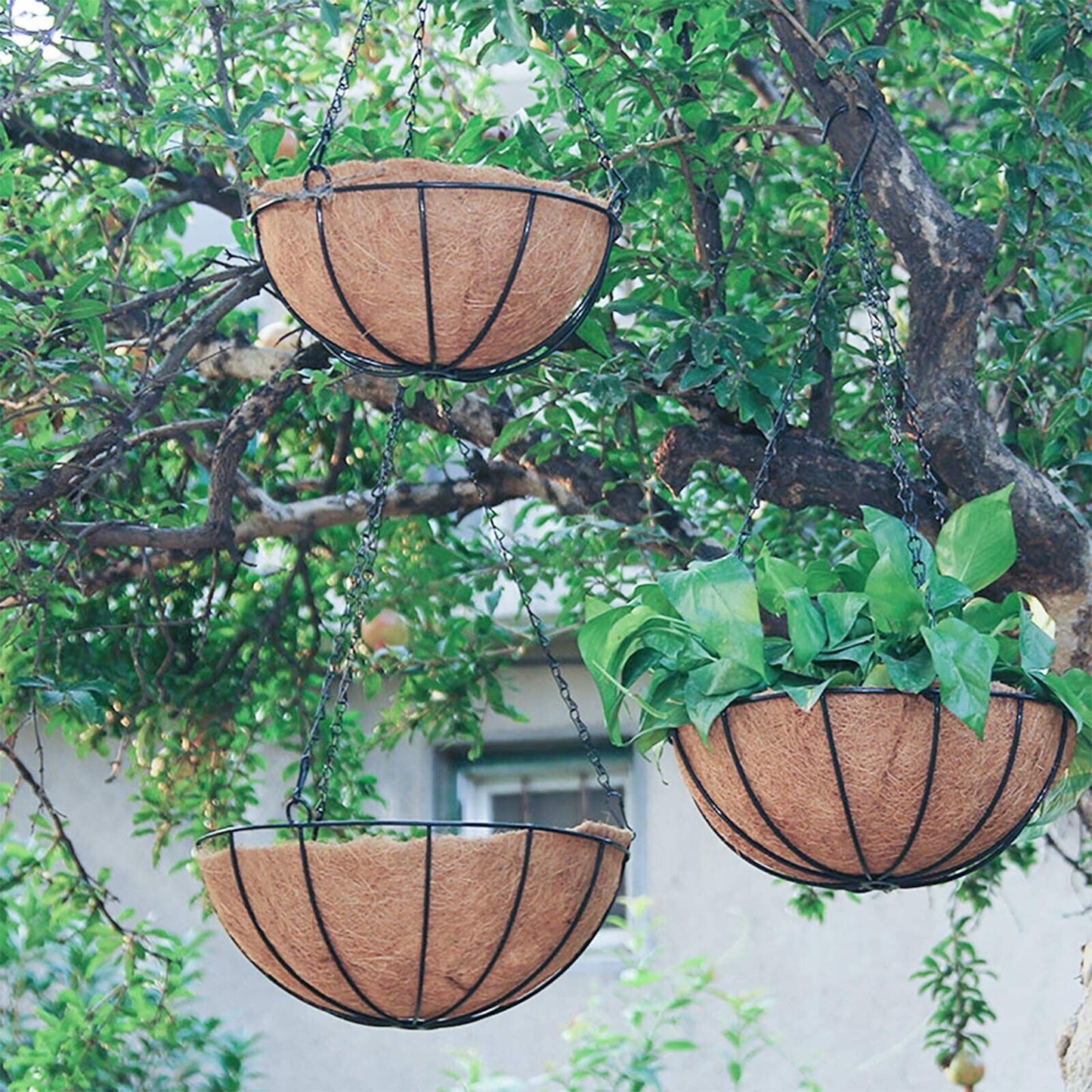 Metal Hanging Planters Basket Set of 3 